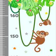 Jungle vert toise i